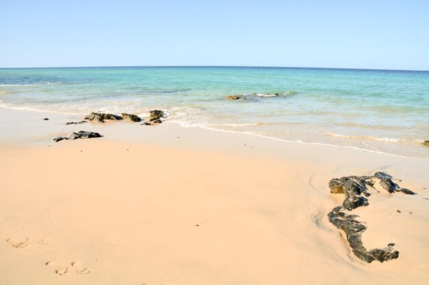 La playa de arena del océano