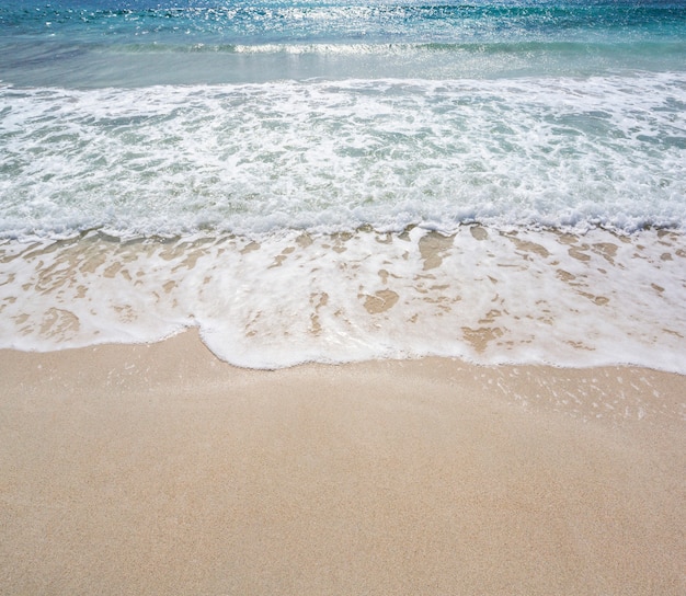 Playa de arena y ola
