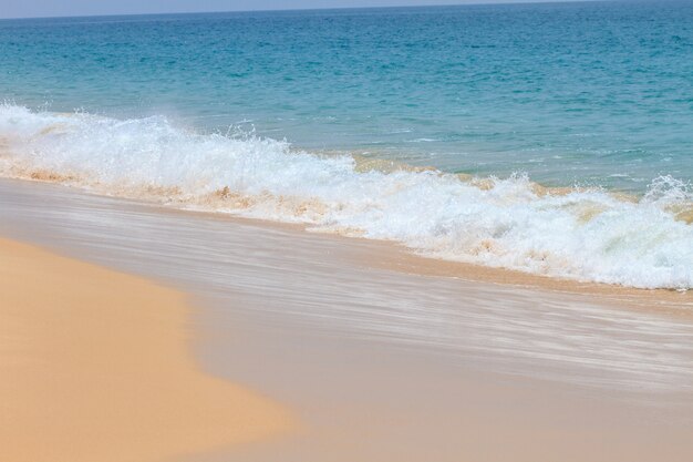 Playa de arena y ola