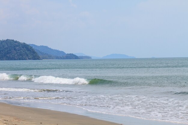 Playa de arena y ola