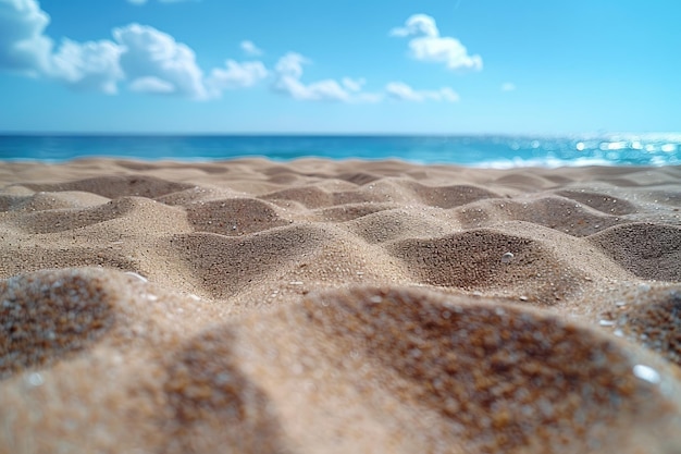 playa de arena con paisaje oceánico fotografía profesional
