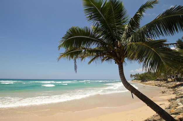 Playa de arena Paradise, al sur de Sri Lanka