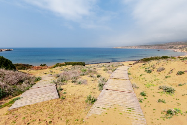 Playa de arena soleada