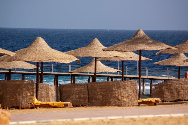 Playa de arena con sombrillas cerca del mar