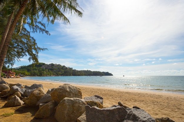 Playa de arena tropical