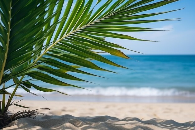 Playa de arena de verano con palma de coco en un día despejado