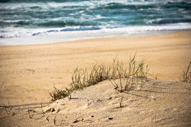 Playa de arena