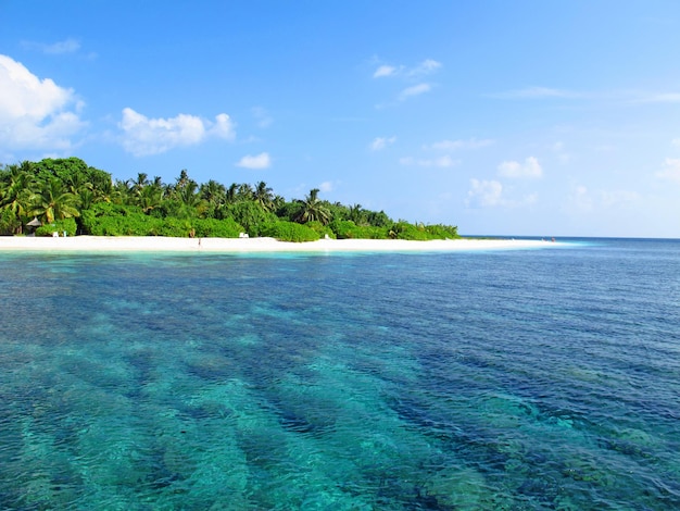 La playa en el atolón Ari del norte del océano Índico Maldivas