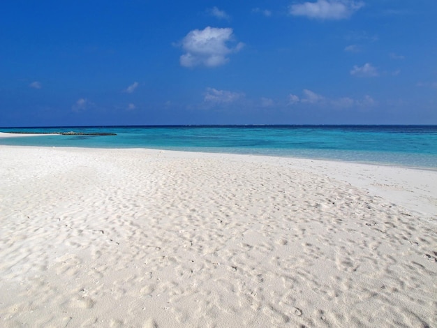 La playa en el atolón Ari del norte del océano Índico Maldivas