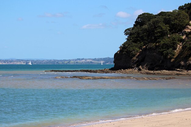 playa de Auckland Nueva Zelanda