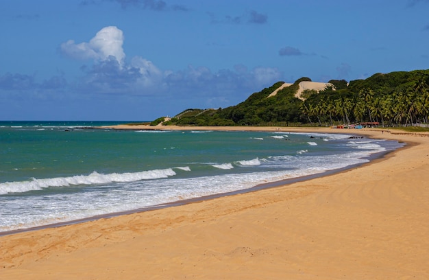 Playa de Bacopari en Baia Formosa, Rio Grande do Norte, Brasil.