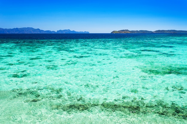 Playa de belleza