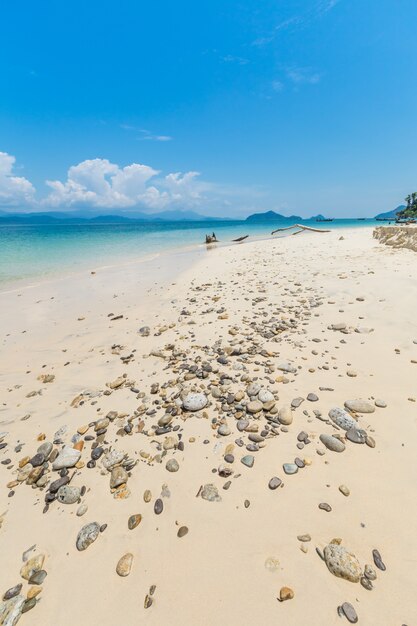 Playa blanca de la arena y barco de cola larga en la isla de Khang Khao (isla del palo), Tailandia.