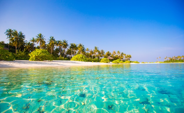 Playa blanca perfecta con agua turquesa en la isla ideal.