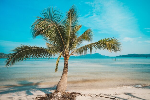 Playa en un bonito día soleado de verano. Isla de Koh Rong Sanloem, Saracen Bay. Viajes de vacunación a Camboya, Asia