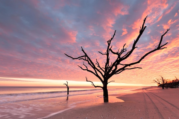 Foto playa de botany bay al atardecer nublado