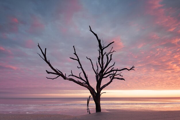 Playa de Botany Bay al atardecer nublado