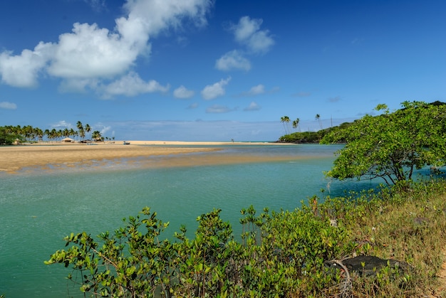 Playa brasileña y angrove en la playa de Barra de Camaratuba cerca de Joao Pessoa Paraiba Brasil