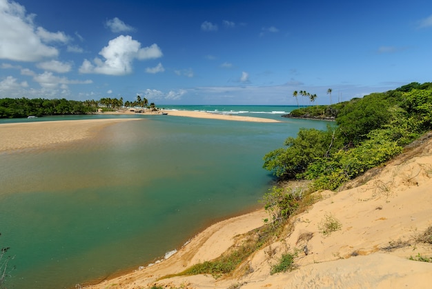 Playa brasileña y angrove en la playa de Barra de Camaratuba cerca de Joao Pessoa Paraiba Brasil