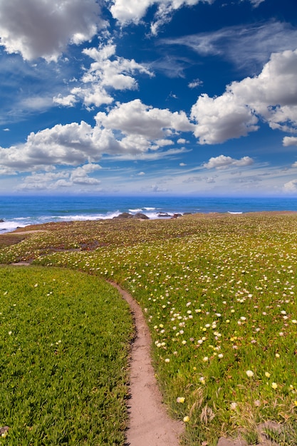 Playa de California Pigeon Point en Cabrillo Hwy costera carretera 1