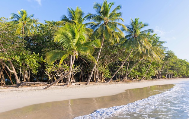 La playa caribeña isla de Martinica