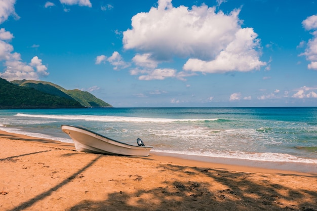 Playa caribeña con palmeras y olas en un día soleado