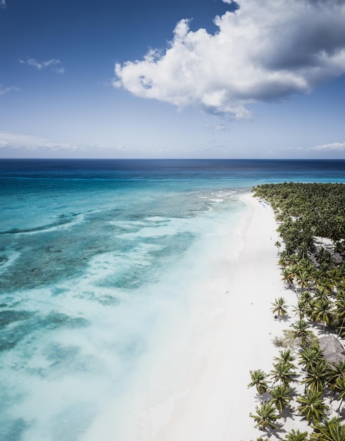 Playa caribeña tropical