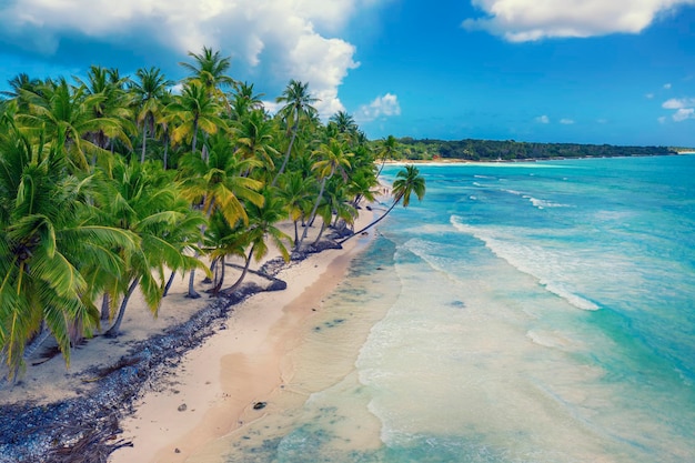 Playa caribeña tropical