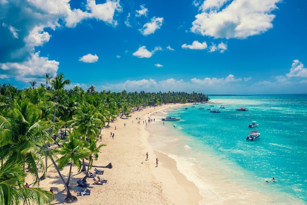 Playa caribeña tropical