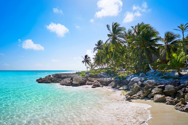 Playa caribeña de tulum en la Riviera Maya