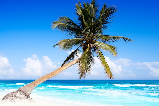 Playa caribeña de tulum en la Riviera Maya