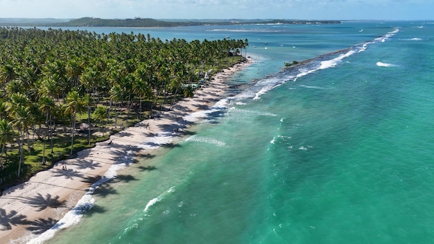 La playa de Carneiros en Tamandare en Pernambuco, Brasil