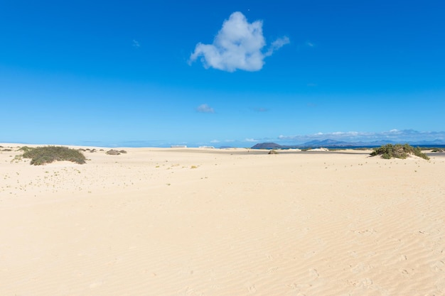 Foto una playa con un cielo azul y una duna de arena blanca en primer plano.