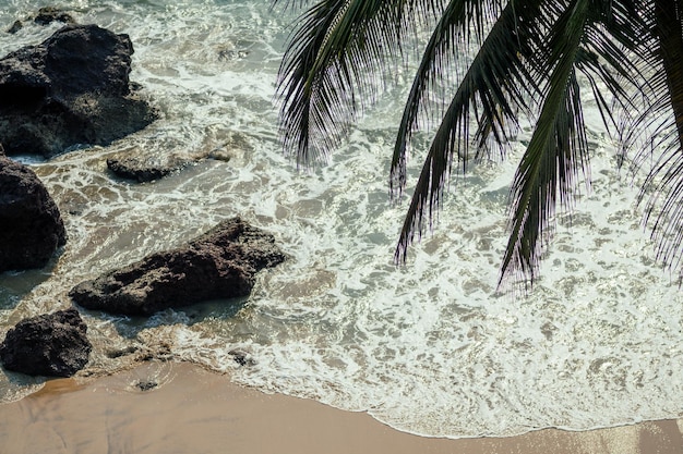 Playa de Cola Colva en el paraíso Goa copyspase