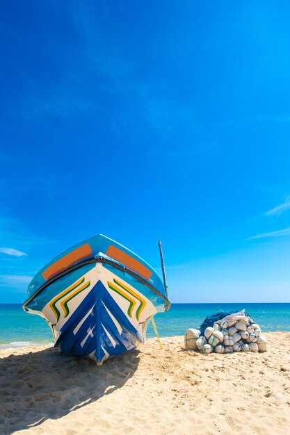 Playa con colorido barco y mar tropical