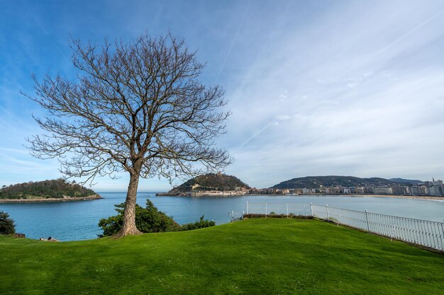 Foto la playa de la concha desde el palacio de miramar