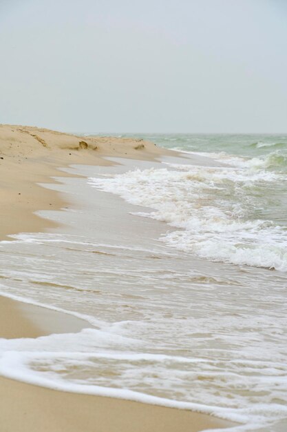 Playa Costa del Mar Báltico con arena de cuarzo y olas onduladas