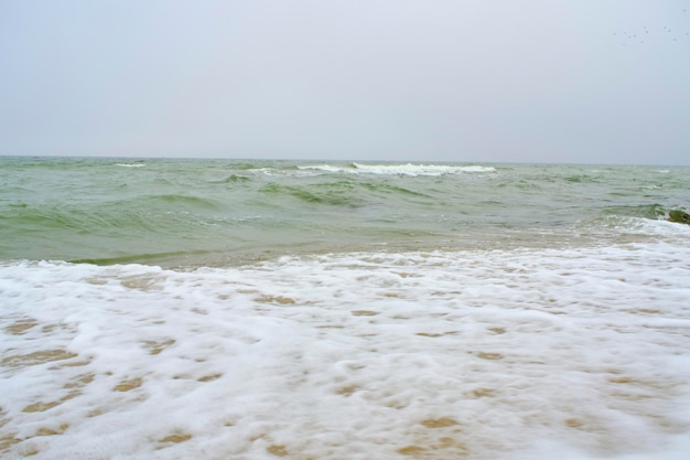 Playa Costa del Mar Báltico con arena de cuarzo y olas onduladas