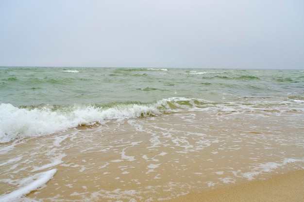 Playa Costa del Mar Báltico con arena de cuarzo y olas onduladas