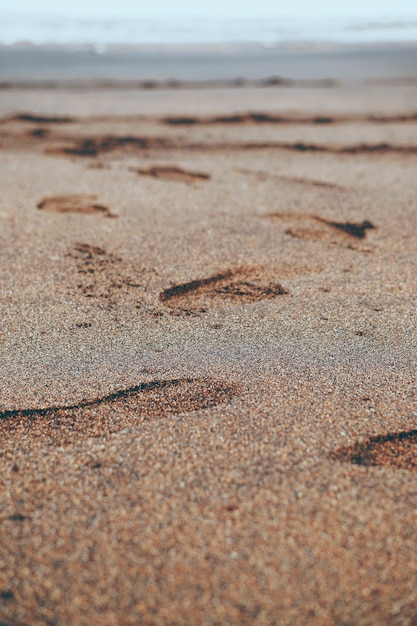 La playa en la costa