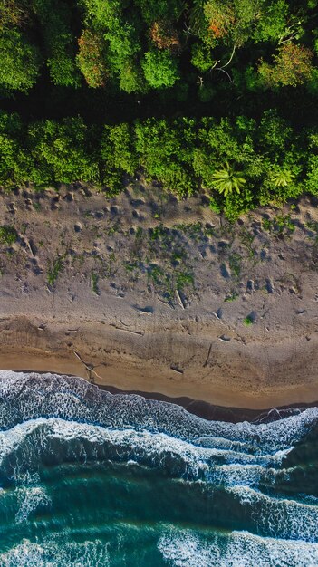 Foto playa de tortuguero desde el cielo con dron, observándose camas de tortugas marinas