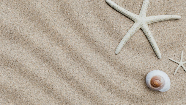 Playa de verão concnepts Flat Lay copyspace fundos renderização 3D