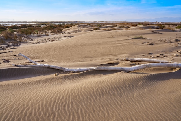 Playa del Delta del Ebro Punta del Fangar