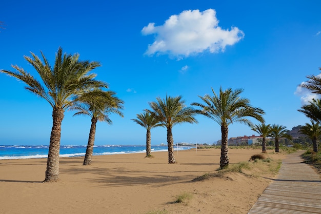 Playa de Denia Las Marinas con palmeras alicantinas.