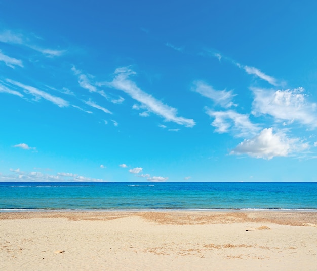 Foto playa desierta bajo un cielo nublado