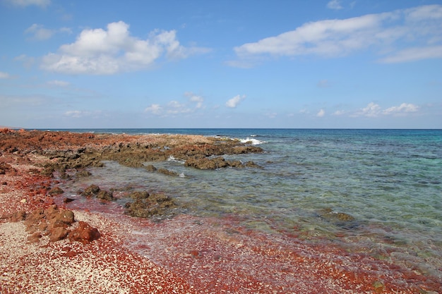 La playa Dihamri en la isla de Socotra Océano Índico Yemen