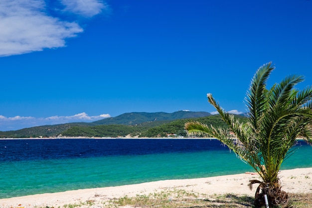 Playa dorada en Grecia