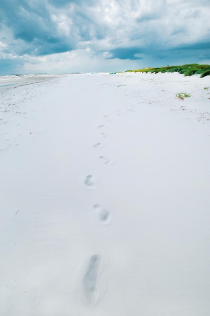 Playa Dueodde de Dinamarca