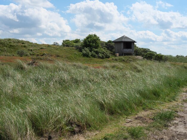 Playa y dunas en la isla de Baltrum