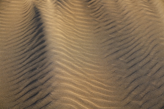 Playa de dunas con textura de arena en la costa dorada.